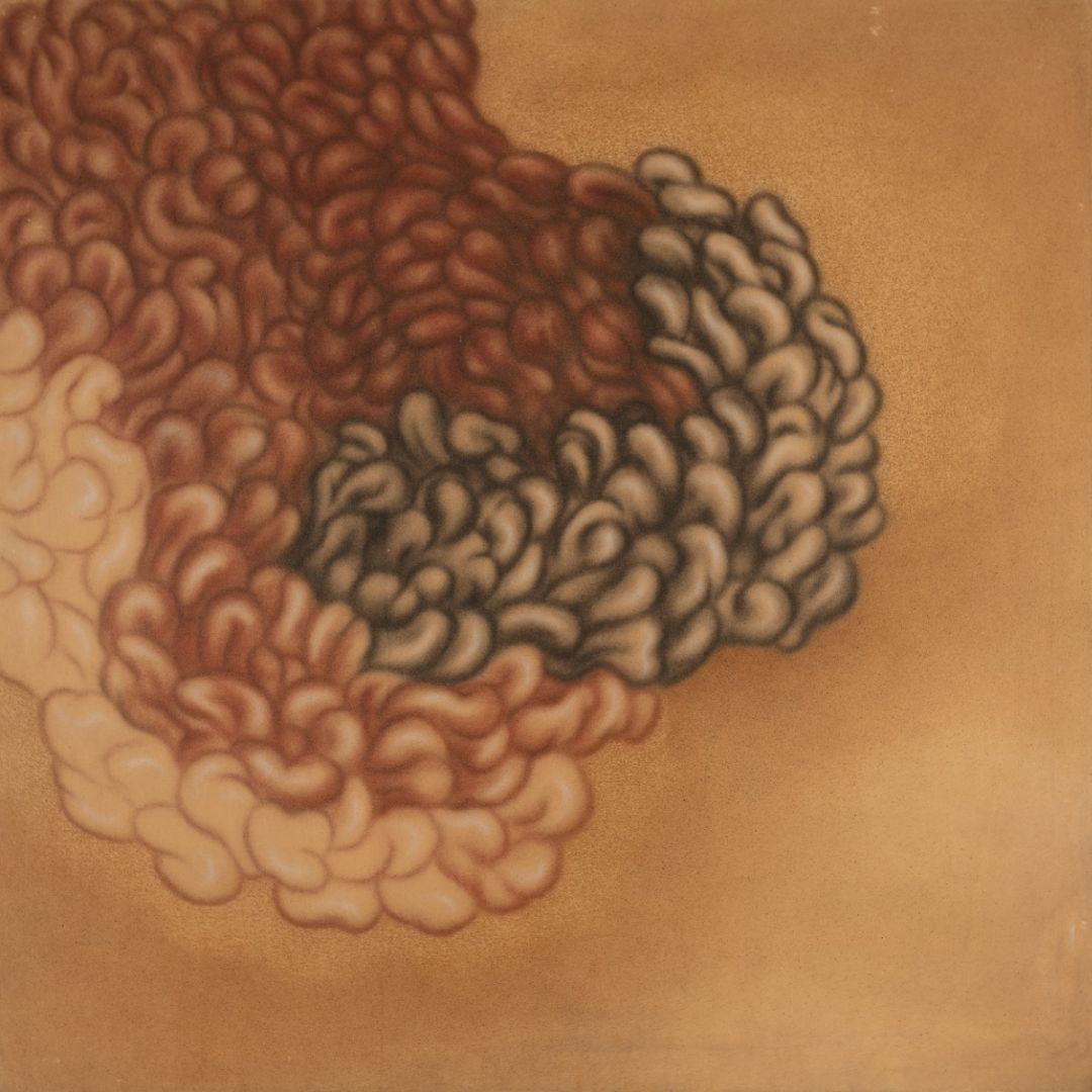 Cluster