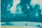 The Enchanted Pool 