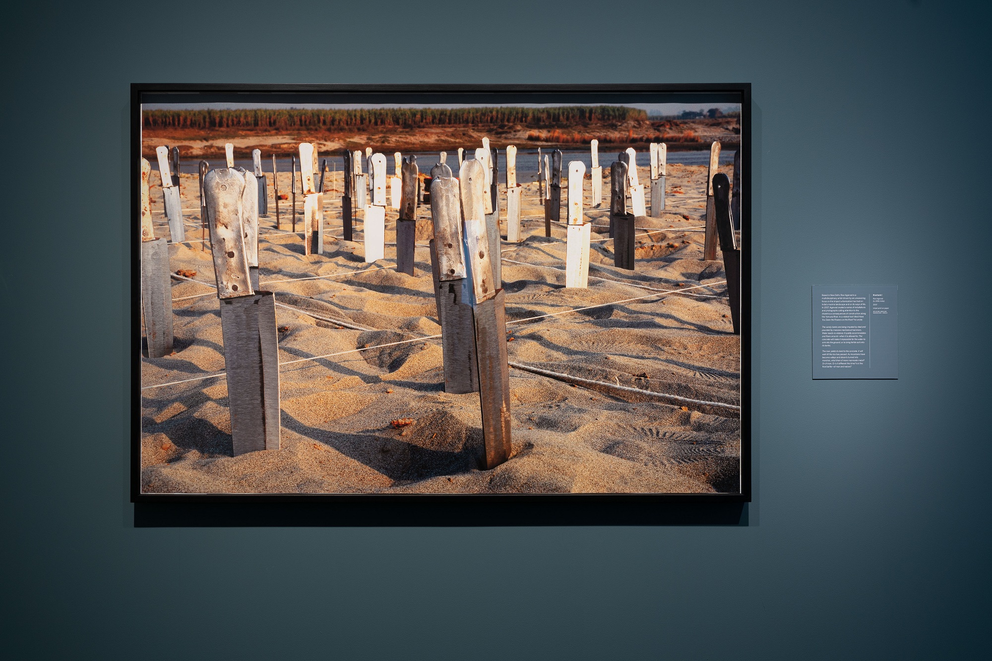 Imaging Water A Conversation with the Smithsonian's Carol Huh